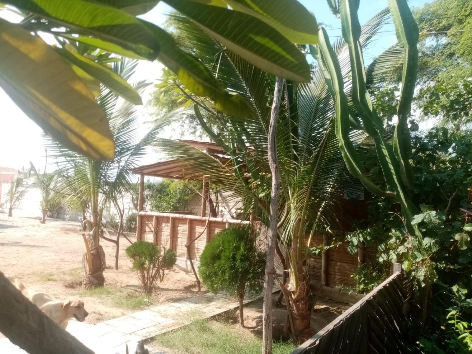 La Casa De Diego Zorritos Dış mekan fotoğraf